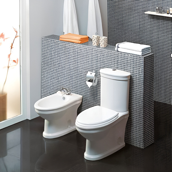 Чаша для унитаза-компакта Cezares Primo CZR-166-T