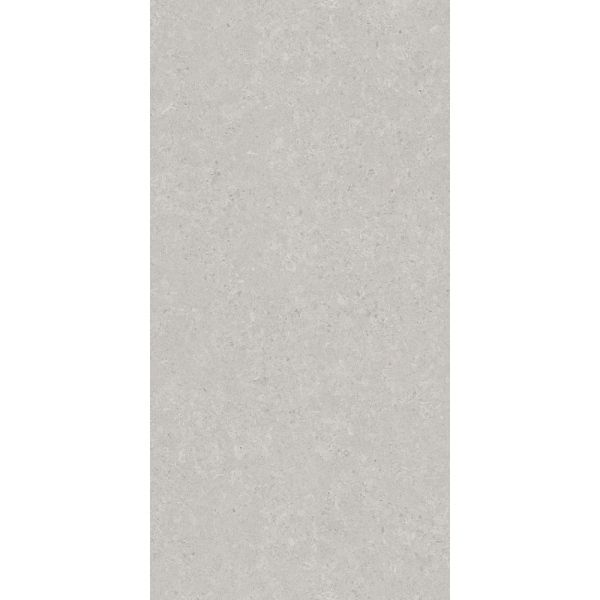 Керамогранит AVS by Italian Design Velluto Grey 60x120 Moon Light Stone Керамогранит AVS by Italian Design Velluto Grey 60x120 Moon Light Stone