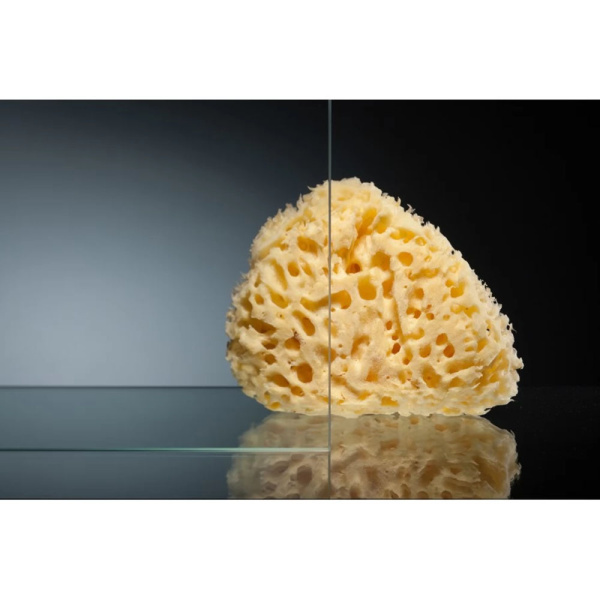 ZA -F 100*90 08 01 Душ огр-е 100х90см хром/прозр + антикалькVEGAS ZA -F 100*90 08 01 Душ огр-е 100х90см хром/прозр + антикалькVEGAS